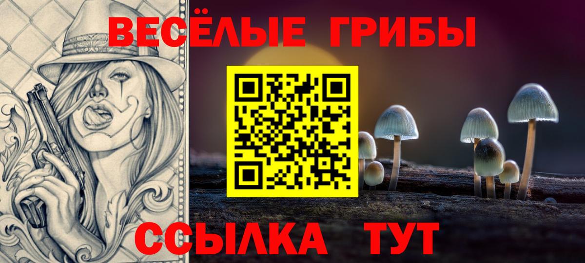Псилоцибиновые грибы GOLDEN TEACHER  Вход с VPN  Амурск 